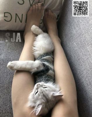欧美巨乳高清版在线_高清手机在线看