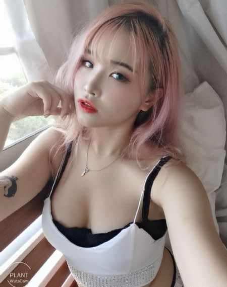 高清图片欧美范图片_DVD在线观看电视