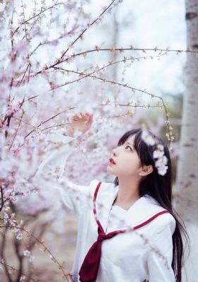 超级无赖大宝哥_高清电影免费在线