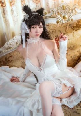 黑白大搏斗燕赵刑警_高清电视剧在线观看